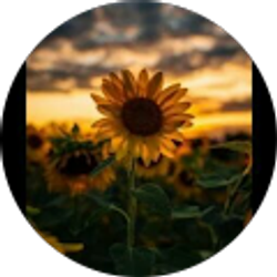 Profile photo of Mayra Victoria