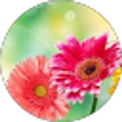 Profile photo of M&M