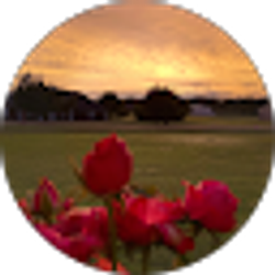Profile photo of Sarah Grace Southerland