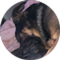 Profile photo of Haley Johnson