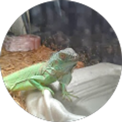 Profile photo of Micheal Haynes