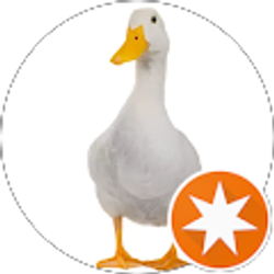 Profile photo of Jan McManus