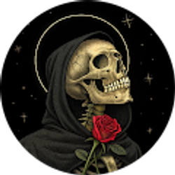 Profile photo of xsenit