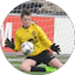 Profile photo of Daniel Pellegrine