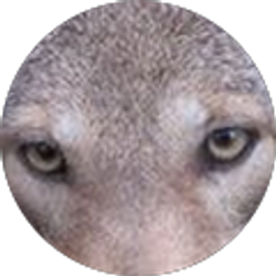 Profile photo of Jackie (Jackie)