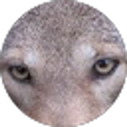 Profile photo of Jackie (Jackie)