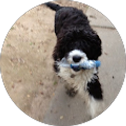 Profile photo of Cole Hough