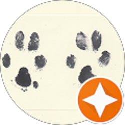 Profile photo of Tobi Walker