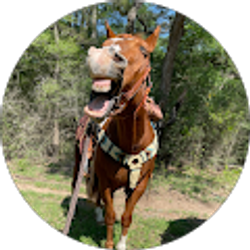 Profile photo of Julie Acosta