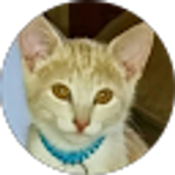 Profile photo of Papao Vongdeuane