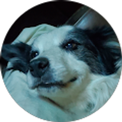 Profile photo of Paloma Torralbo