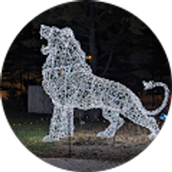 Profile photo of jody calabrese