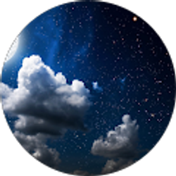 Profile photo of Adam