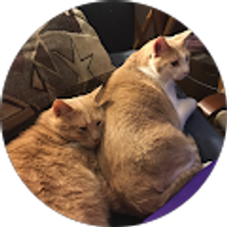 Profile photo of E. Ritschel