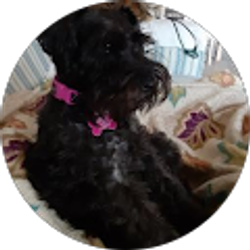 Profile photo of Lynne Baker