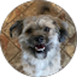 Profile photo of Alejandra Mancha