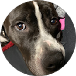 Profile photo of Kaiden Jeffrey