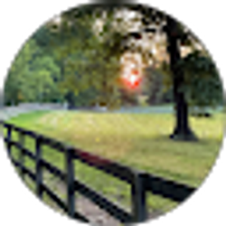 Profile photo of GE Lo