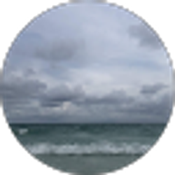 Profile photo of Sandy Le