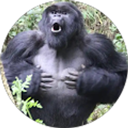 Profile photo of BellBiv Deveau