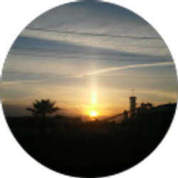 Profile photo of Roberto Servin