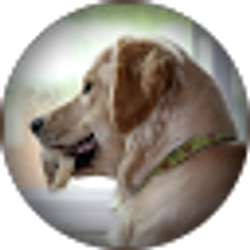 Profile photo of Lizabeth Harman