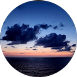 Profile photo of Megan Scott
