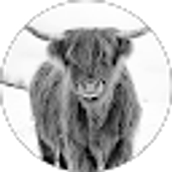 Profile photo of Kayla