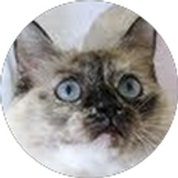 Profile photo of joan star