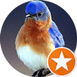 Profile photo of Kimberly Draeger