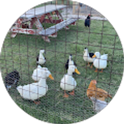 Profile photo of jordan greyard