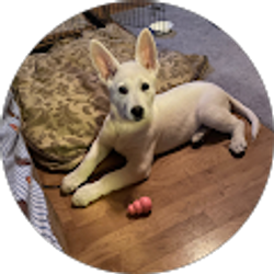 Profile photo of Karen Short