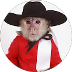 Profile photo of Chip Pierson