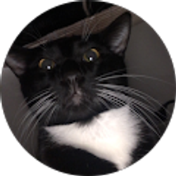 Profile photo of Jpm2001