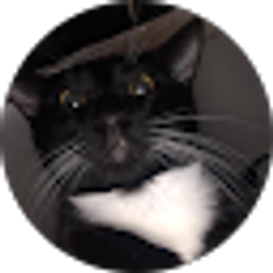 Profile photo of Jpm2001