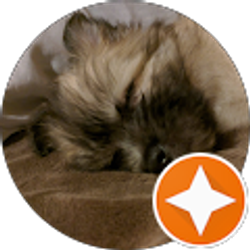 Profile photo of Allen Jones