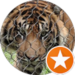 Profile photo of Catherine Stark