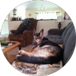 Profile photo of Sue Schmidli