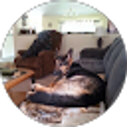 Profile photo of Sue Schmidli