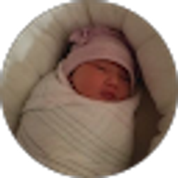 Profile photo of Lan Hai