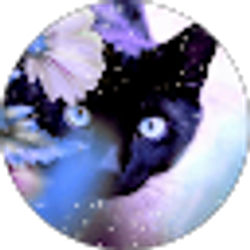 Profile photo of First Lady Alissa