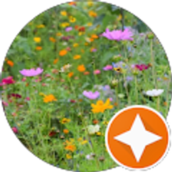 Profile photo of Jodi Brooks