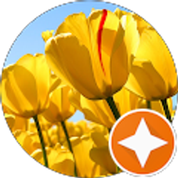 Profile photo of Carol Hodges