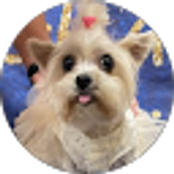 Profile photo of Sharon Higbee