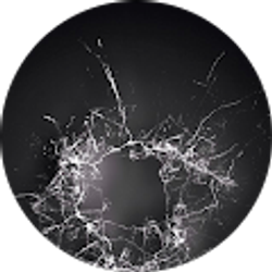 Profile photo of Steve Hunstad