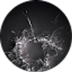 Profile photo of Steve Hunstad