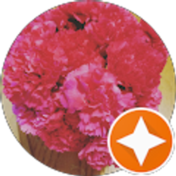 Profile photo of Emily Rose