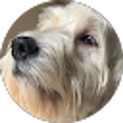 Profile photo of Joseph Jones (Itz_Joseph20)
