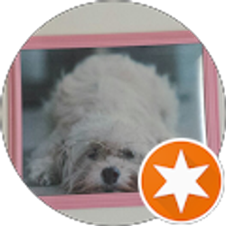 Profile photo of Candy Stock