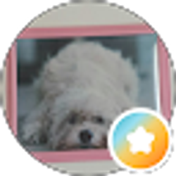Profile photo of Candy Stock